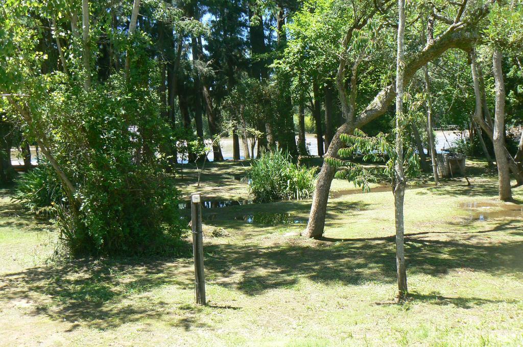 Posada Barlovento 蒂格雷 客房 照片